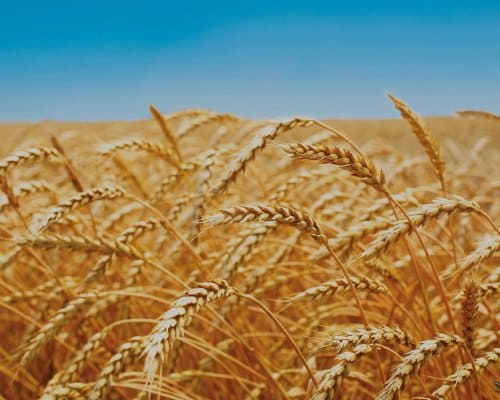 Estimation Valorisation de l'usufruit et Nu-propriété